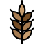 Wheat icon 64x64