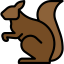 Squirrel 图标 64x64