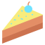 Cake slice icon 64x64