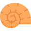 Shell icon 64x64