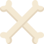 Bones icône 64x64