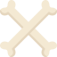 Bones icon 64x64