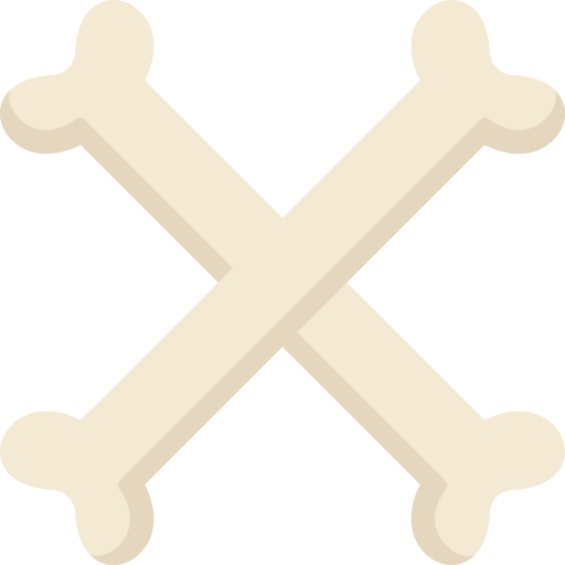 Bones icône