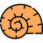 Shell icon 64x64