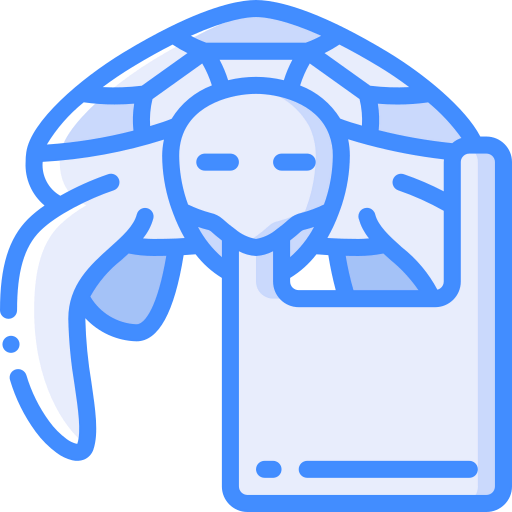 Turtle icon
