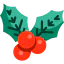 Mistletoe icon 64x64
