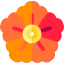 Flower icon 64x64