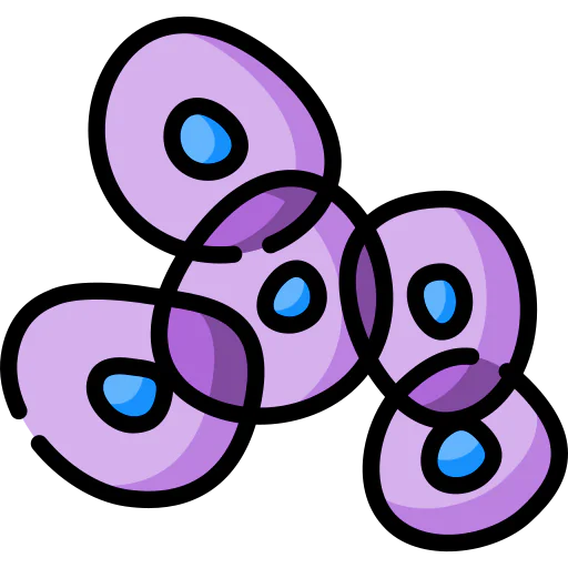 Cells Symbol