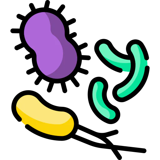 Bacteria icon