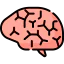 Человеческий мозг иконка 64x64