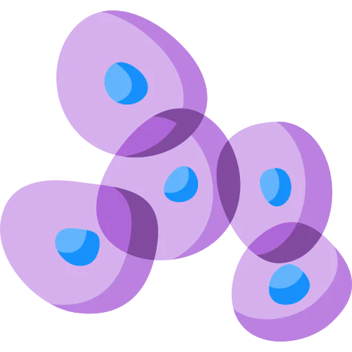 Cells biểu tượng