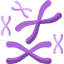 Chromosome Ikona 64x64