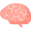 Human brain Ikona 64x64