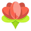 Lotus icon 64x64