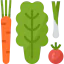 Vegetables biểu tượng 64x64