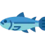 Fish icône 64x64