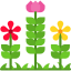 Plants Ikona 64x64