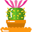 Cactus Ikona 64x64