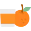 Orange juice Symbol 64x64