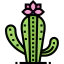 Cactus 图标 64x64