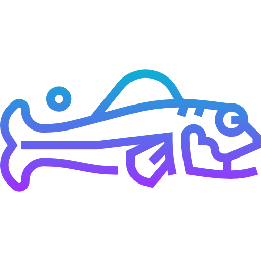 Fish icon