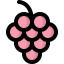 Grapes icon 64x64