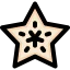 Starfruit icon 64x64