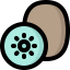 Kiwi icon 64x64