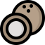 Coconut icon 64x64
