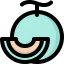Melon icon 64x64