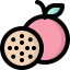 Passion fruit icon 64x64