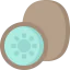 Kiwi icon 64x64