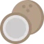Coconut ícone 64x64