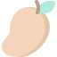 Mango ícone 64x64