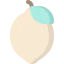 Lemon ícone 64x64