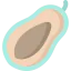 Papaya ícone 64x64