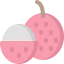 Lychee ícone 64x64