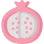 Pomegranate ícone 64x64
