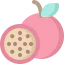 Passion fruit ícone 64x64