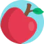 Apple icon 64x64