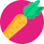 Carrot icon 64x64