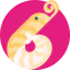 Shrimp icon 64x64