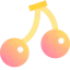 Cherry Ikona 64x64