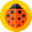 Ladybird アイコン 64x64