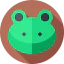 Frog アイコン 64x64