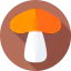 Mushrooms アイコン 64x64