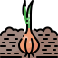 Onion icon 64x64