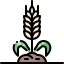 Wheat icon 64x64