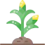 Corn icon 64x64