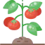 Tomato icon 64x64